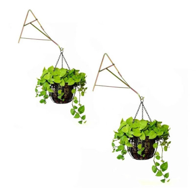 Suporte A Pendurar Xaxim Vaso Planta Flor Parede 26cm