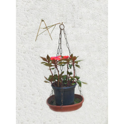 Suporte A Pendurar Xaxim Vaso Planta Flor Parede 26cm