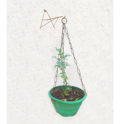 Suporte A Pendurar Xaxim Vaso Planta Flor Parede 21cm